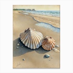 Shells On The Beach Canvas Print