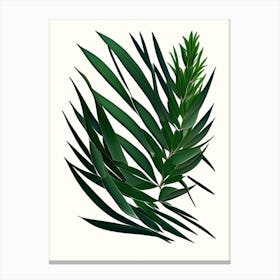 Rosemary Leaf Vibrant Inspired 5 Canvas Print