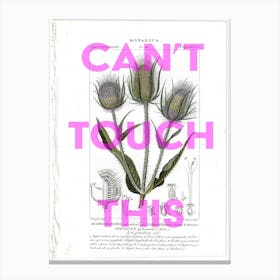 Can't Touch This Vintage Thistle Canvas Print