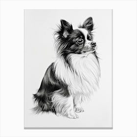 Papillon Dog Line Sketch 2 Canvas Print