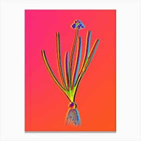 Neon Spring Squill Botanical in Hot Pink and Electric Blue n.0356 Canvas Print