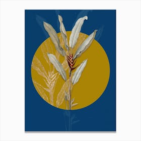 Vintage Botanical Parrot Heliconia on Circle Yellow on Blue n.0162 Canvas Print