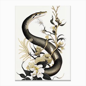 Northern Water Snake Gold And Black Canvas Print