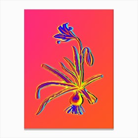 Neon Amaryllis Broussonetii Botanical in Hot Pink and Electric Blue n.0224 Canvas Print