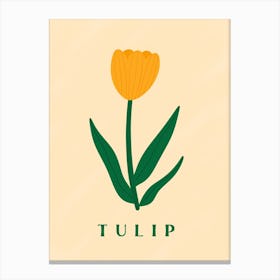 Tulip Canvas Print