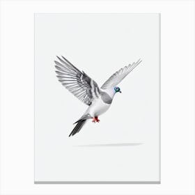 Pigeon B&W Pencil Drawing 2 Bird Canvas Print