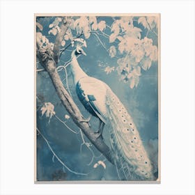 White Peacock In A Tree Vintage Photograph Inspired Canvas Print
