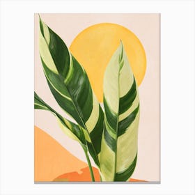 Tropical Plant 4 Canvas Print