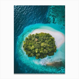 Aerial View Of A Tropical Island 5 Canvas Print