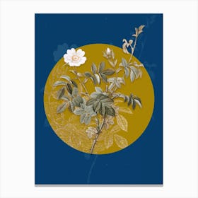 Vintage Botanical White Downy Rose on Circle Yellow on Blue Canvas Print