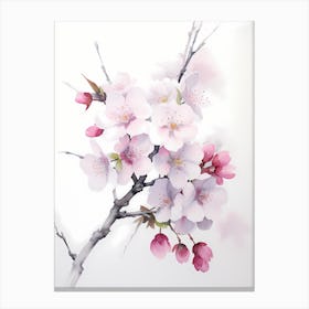 Cherry Blossom Painting 1 Canvas Print