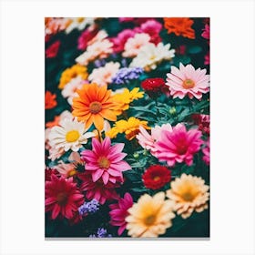 FLOWR Canvas Print