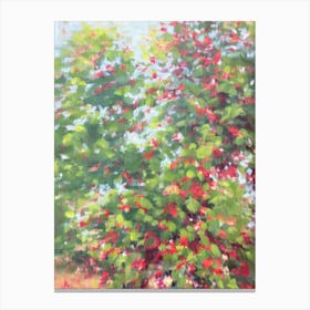 Weeping Fig Impressionist Painting Plant Canvas Print