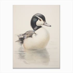 Vintage Bird Drawing Bufflehead 2 Canvas Print