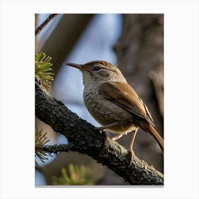 House Wren -Reimagined Canvas Print