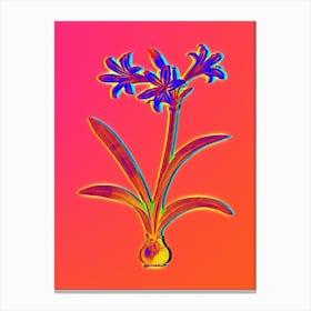 Neon Amaryllis Botanical in Hot Pink and Electric Blue Canvas Print