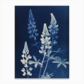 Lupine Time Canvas Print