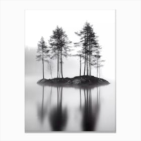 Misty Island Canvas Print