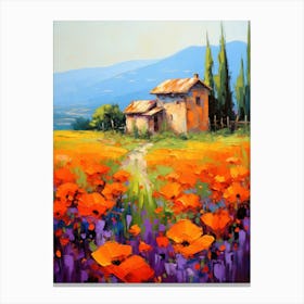 Tuscan Poppies 1 Canvas Print