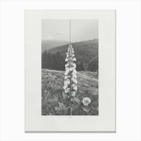 Snapdragon Flower Photo Collage 2 Canvas Print