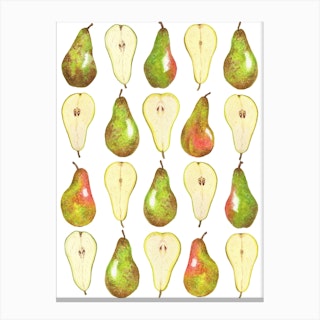 Repeat Pattern Pear Canvas Print