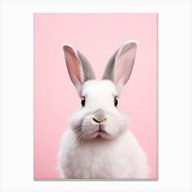 Rabbit On Pink Background Canvas Print