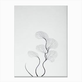 Leafy Sea Dragon Black & White Drawing Canvas Print