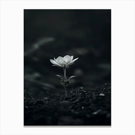 Black And White Flower 2 Canvas Print