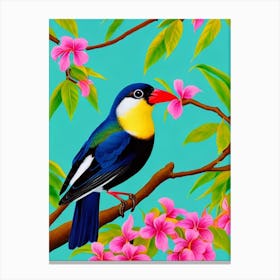 Baldpate Tropical bird Canvas Print
