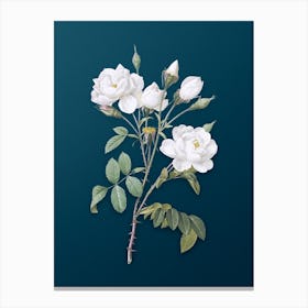 Vintage White Rose Botanical Art on Teal Blue n.0939 Canvas Print