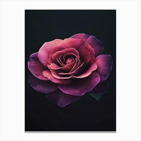 Purple Rose 2 Canvas Print