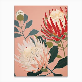 Proteas Flower Big Bold Illustration 2 Canvas Print