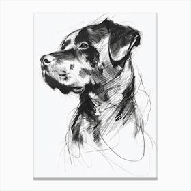 Rottweiler Dog Charcoal Line Canvas Print