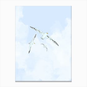 Seagulls Canvas Print