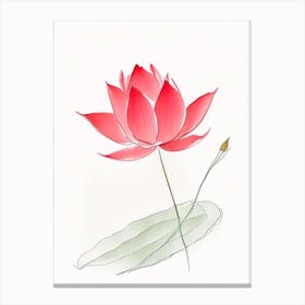 Red Lotus Pencil Illustration 3 Canvas Print