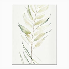 White Willow Leaf Minimalist Watercolour 4 Canvas Print