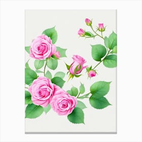 Pink Roses Canvas Print