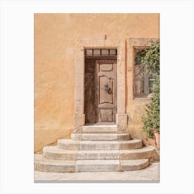 The French Front Door Canvas Print