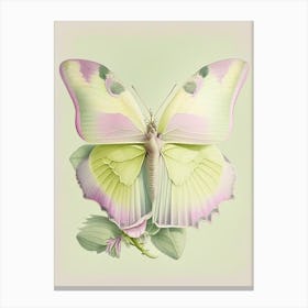Brimstone Butterfly Vintage Pastel 1 Canvas Print