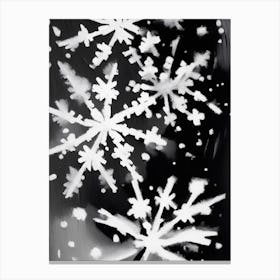 Fragile, Snowflakes, Black & White 3 Canvas Print