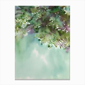 Acropora Tenella Storybook Watercolour Canvas Print