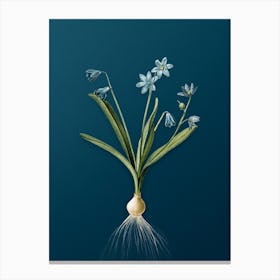 Vintage Scilla Amoena Botanical Art on Teal Blue n.0029 Canvas Print