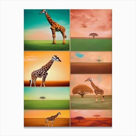 Giraffes 1 Canvas Print