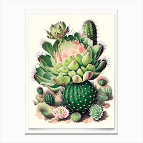 Cactus Flower 2 Floral Botanical Vintage Poster Flower Canvas Print