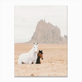 Wild Horses In Shiprock New Mexico Canvas Print