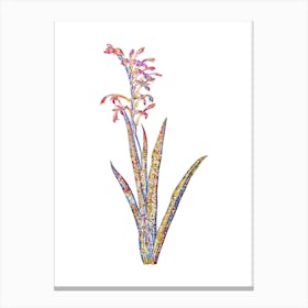 Stained Glass Antholyza Aethiopica Mosaic Botanical Illustration on White n.0238 Canvas Print