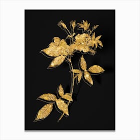 Vintage Hudson Rosehip Botanical in Gold on Black n.0588 Canvas Print
