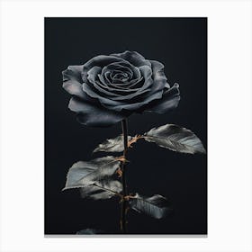 Black Rose 13 Canvas Print