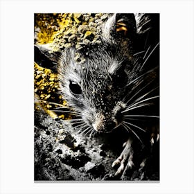 Rat In The Dirt Canvas Print