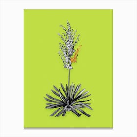 Vintage Adams Needle Black and White Gold Leaf Floral Art on Chartreuse n.0106 Canvas Print